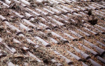 West Stowell roof cleaning companies