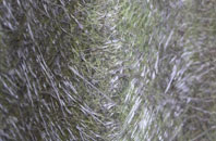 West Stowell fibreglass roof work